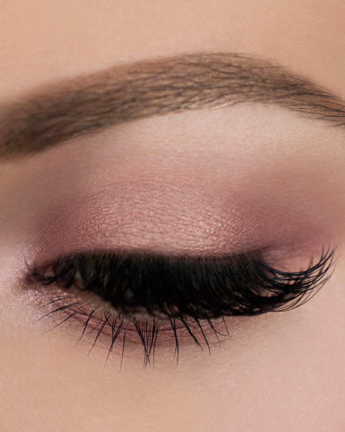 Ash and Ember Eye Soot: Anima